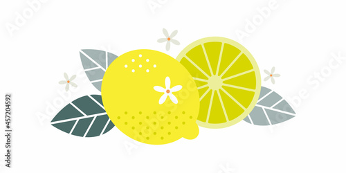 Lemon fruits. Flat illustration. Whole and cut fruits, leaves and flowers.