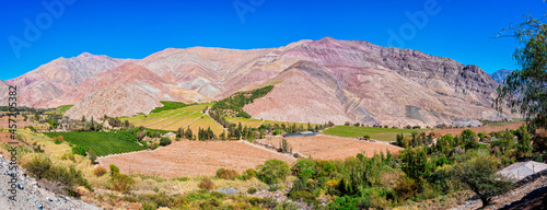 Paiguano or Paihuano panorama view of vineyards and mountains, Valle del Elqui in Elqui Province, Coquimbo Region.  photo