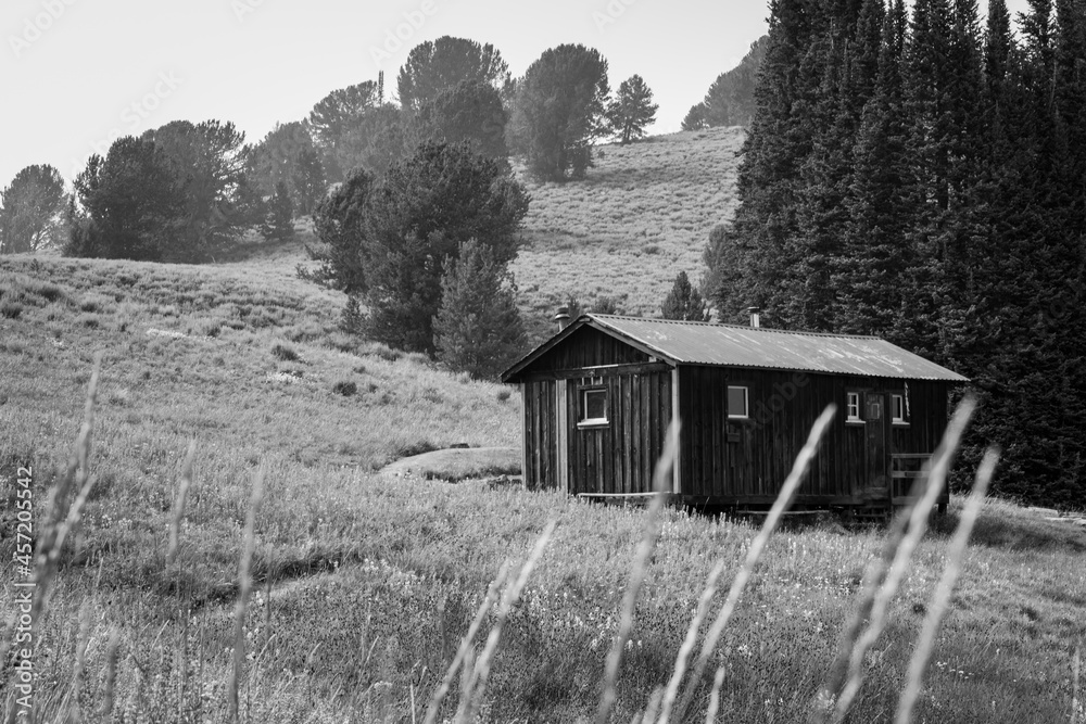 Obraz premium Idaho x