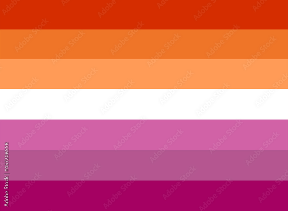 LGBTQ + Lesbian Flag for the rights of pride and sexuality Vector