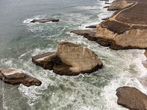 Bird's eye view of Shark Fin Cove, Davenport, California.