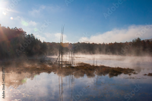 Mist in Newcomb lake