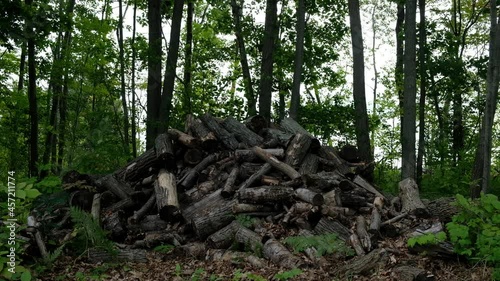 Pile of Firewood 4K