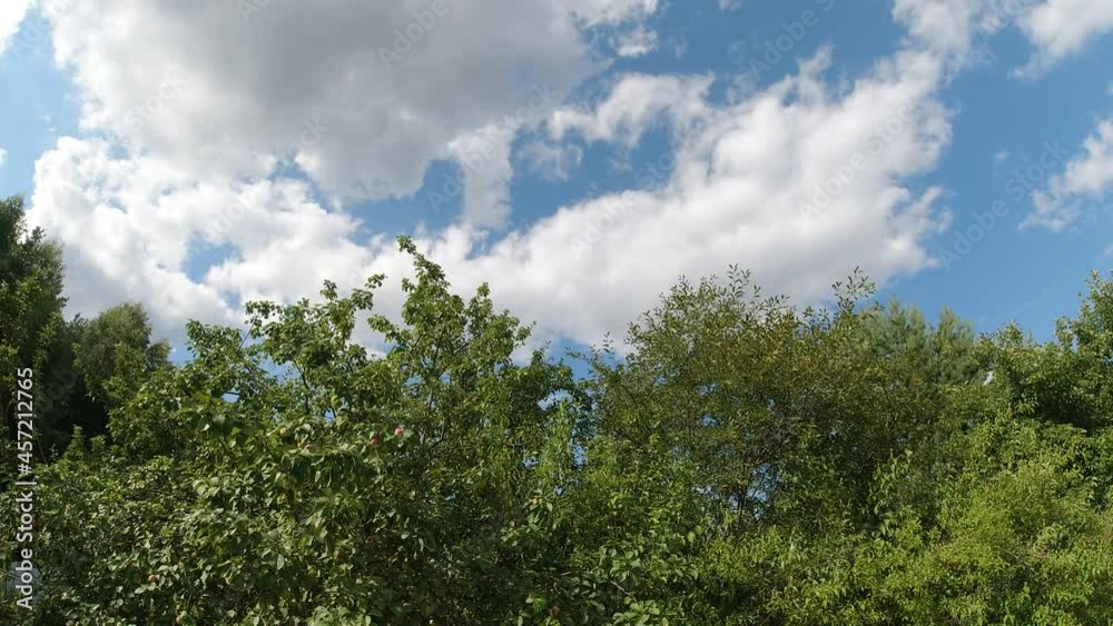 Timelapse concept. Clouds running across the sky, in the background behind the branches of an apple tree with ripe apples in the summer garden. Timelapse concept. Clouds running across the sky, in the background behind the branches of an apple tree with ripe apples in the summer garden.