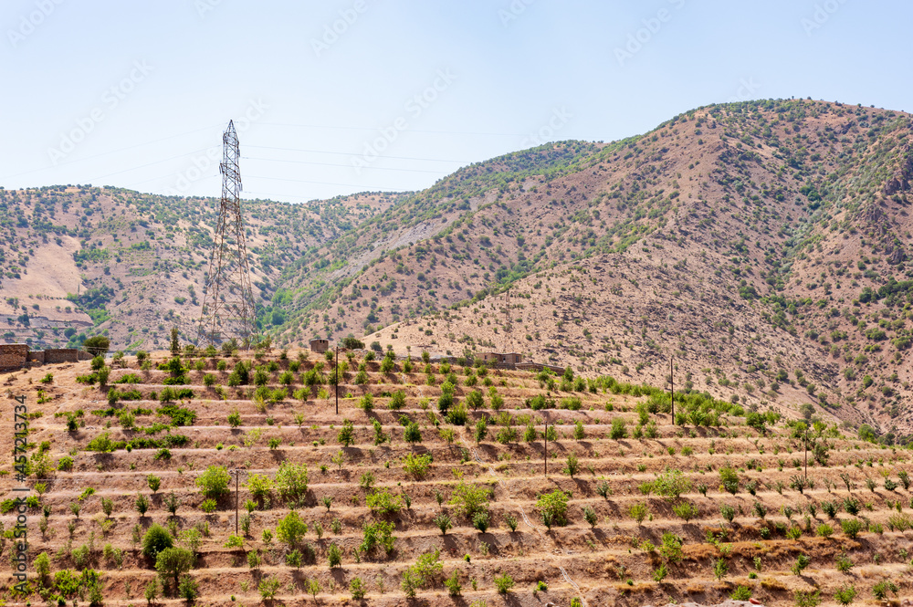 the farming industry on the slope or Mountains with some trees, foliage, grass and blue sky in kurdistan province, Iran