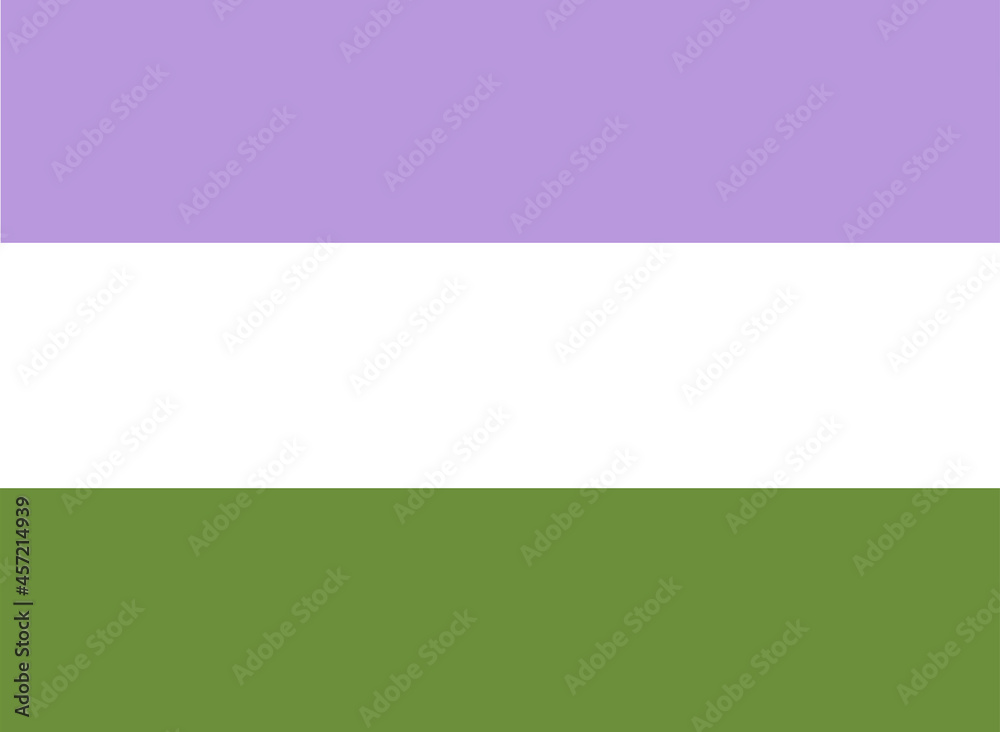LGBTQ + Genderqueer Flag for the rights of pride and sexuality Vector