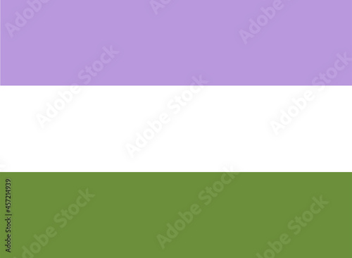 LGBTQ + Genderqueer Flag for the rights of pride and sexuality Vector
