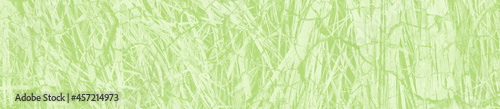 abstract light green background with copy space for design © Tamara