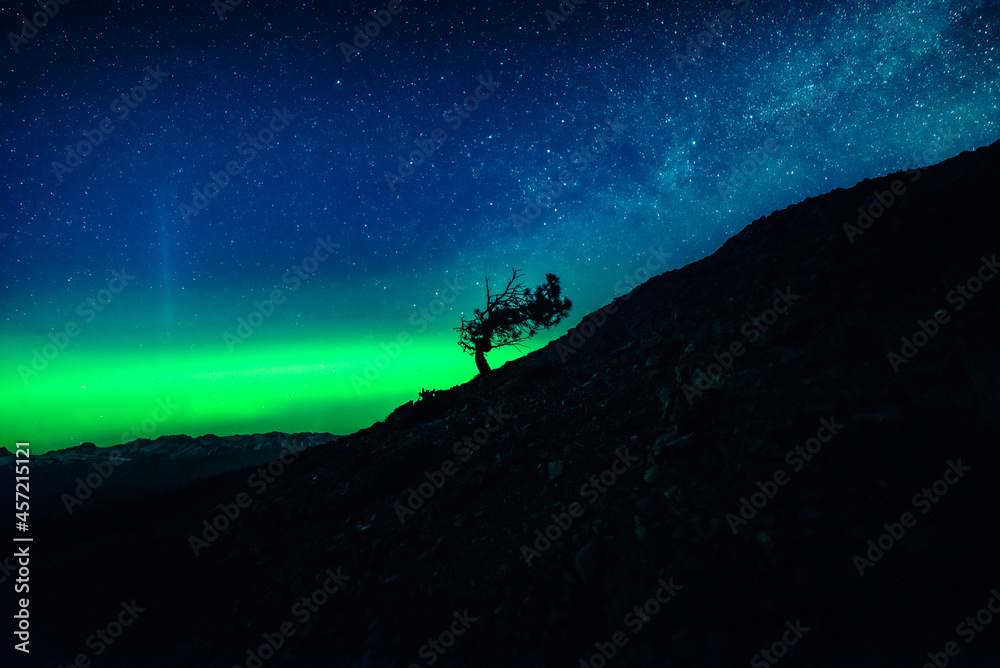 Fototapeta premium Northern Lights aka Aurora Borealis at night in Pacific Northwest