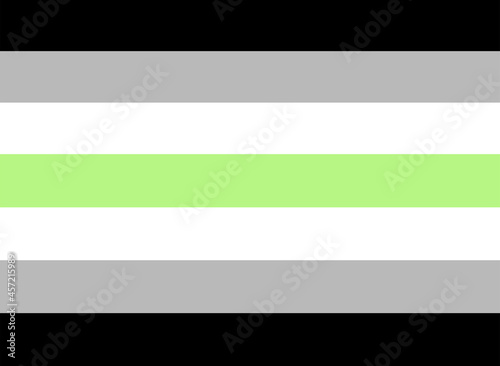 LGBTQ + Agender Flag for the rights of pride and sexuality Vector