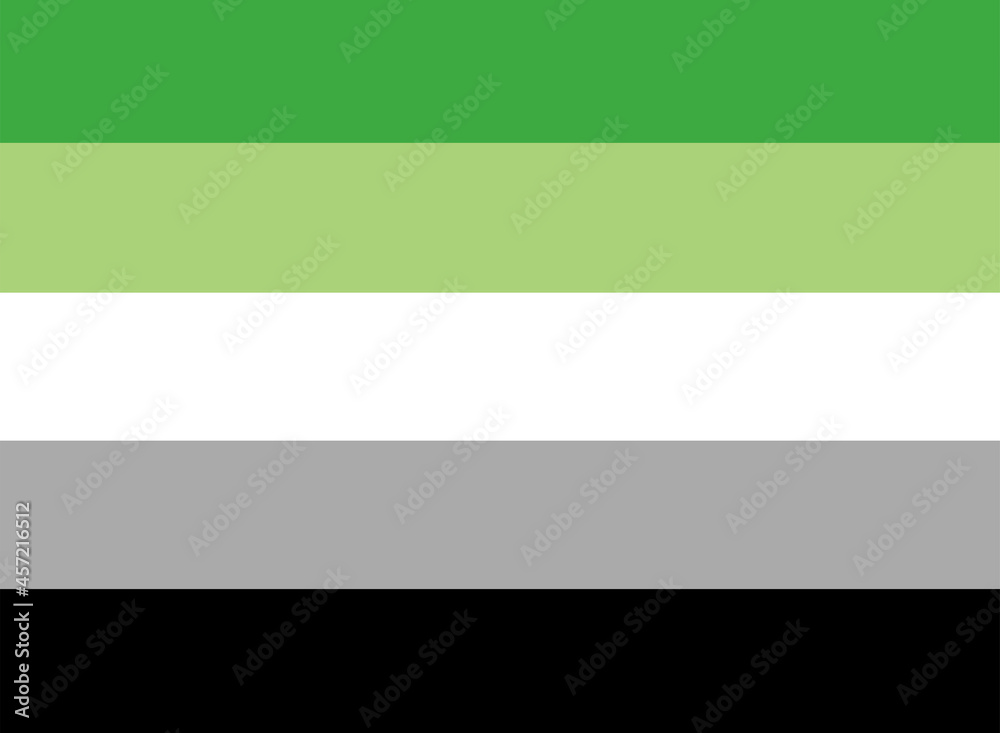 LGBTQ + Aromantic Flag for the rights of pride and sexuality Vector LGBTQ + Aromantic Flag for the rights of pride and sexuality Vector