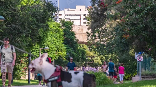 Valencia Spain Turia run park timelapse, resort sity, activities and walking family with childrens 4K
