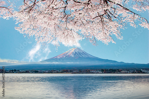 富士山と桜 © LAYW