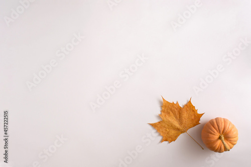 Pumpkin with leafon white background.