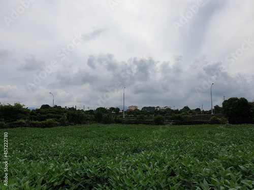 풍경