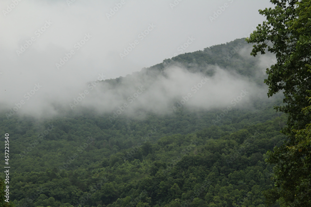 Fog over the Hills