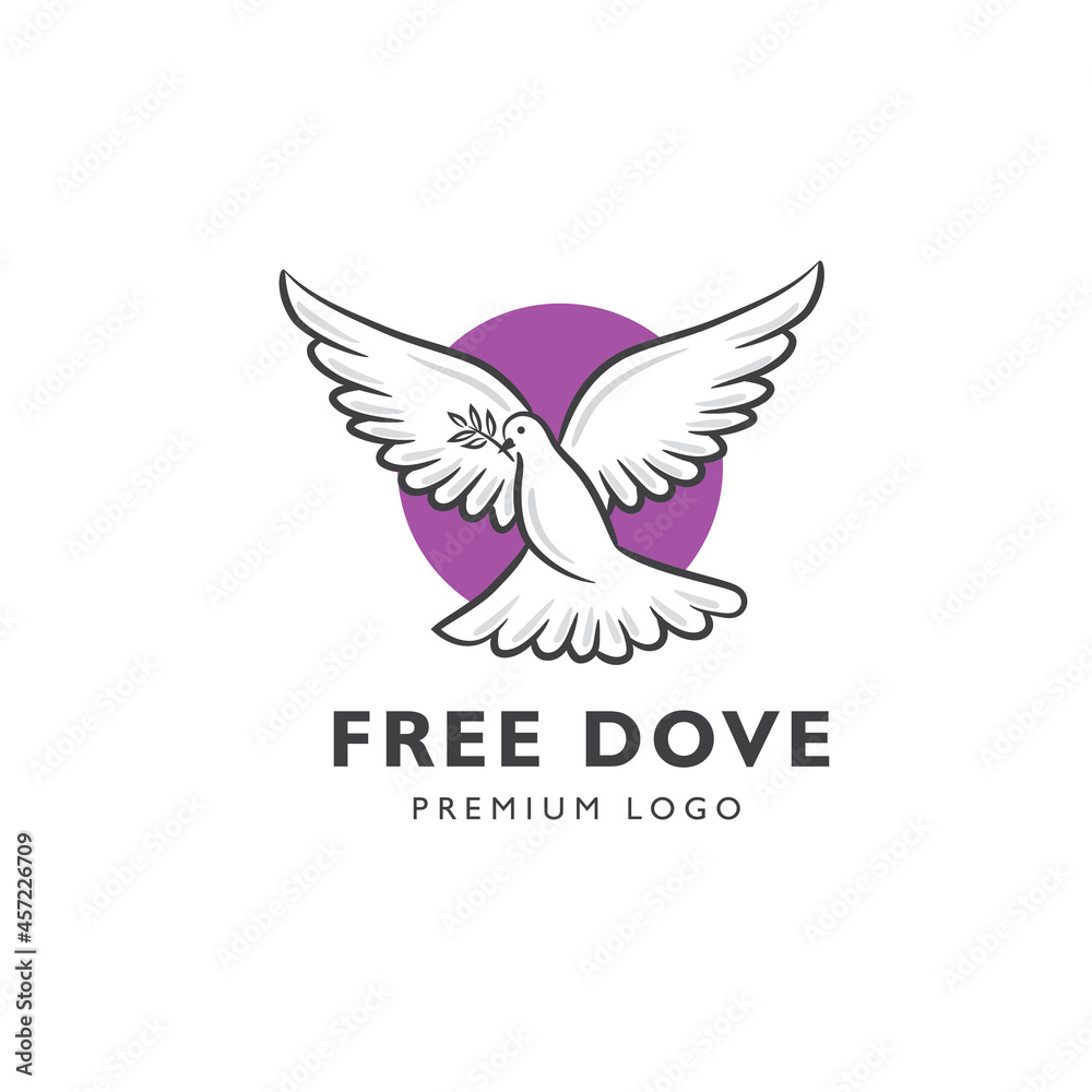 Fototapeta premium Abstract flying white dove vector