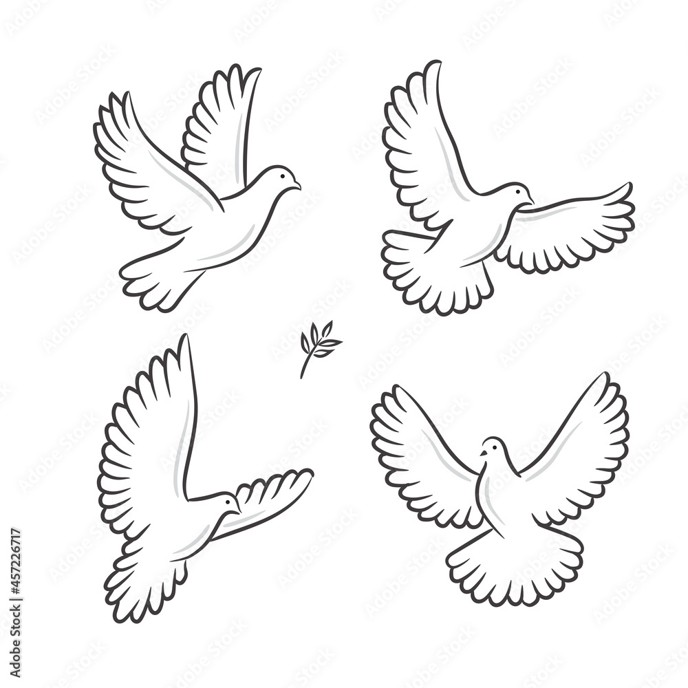 Abstract flying white dove vector Abstract flying white dove vector