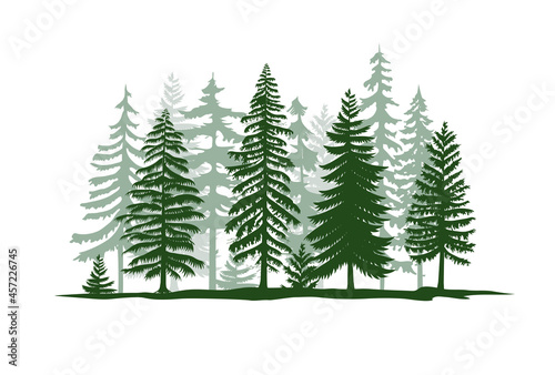 pine trees silhouette vector illustration © krustovin