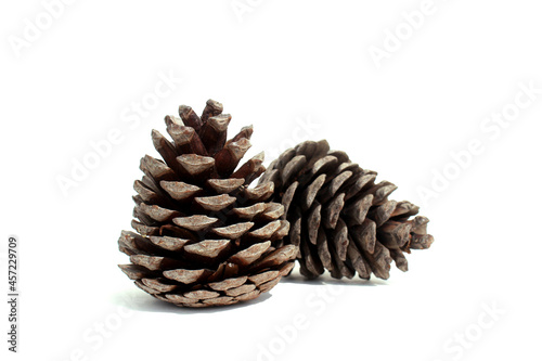 Two large empty cones are on a white background.