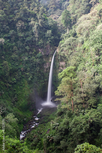 View of the waterfall in the middle of the mountain with many trees on the mountain