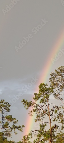 rainbow on a dreary day