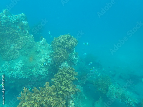 インドネシア バリ島 アメッドの沈没船
