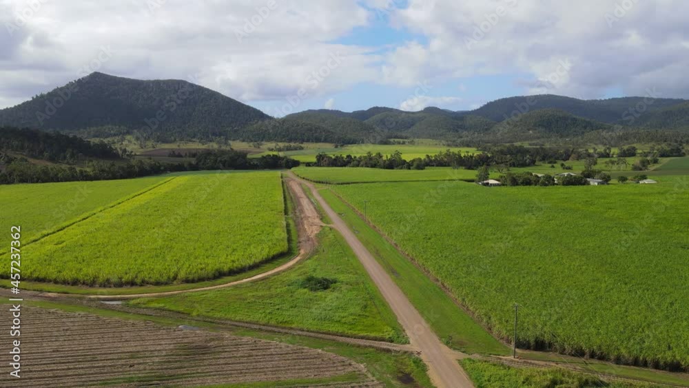 Sugar Cane Field - Lush Green Sugarcane Plantation With Mountain Views In Preston Near Cedar Creek In Queensland, Australia. - aerial Sugar Cane Field - Lush Green Sugarcane Plantation With Mountain Views In Preston Near Cedar Creek In Queensland, Australia. - aerial