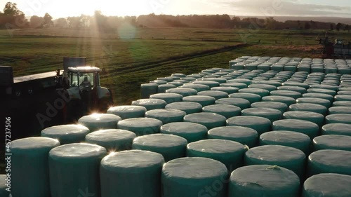 Tractor moving around at stacked silage bales during golden hour sunrise