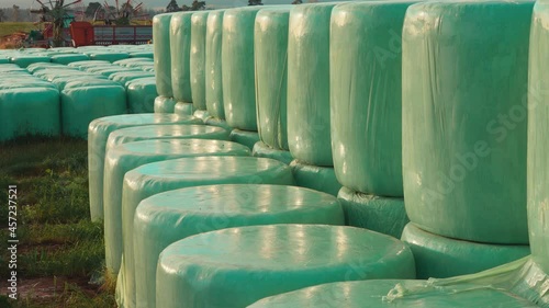 Timelapse of tractor fork lift moving green fodder bales at golden hour