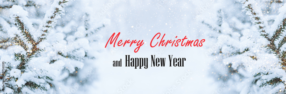 Christmas festive background text Merry Christmas and Happy New Year. Fluffy spruce branches in the snow with sparkles