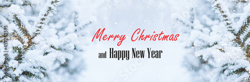 Christmas festive background text Merry Christmas and Happy New Year. Fluffy spruce branches in the snow with sparkles