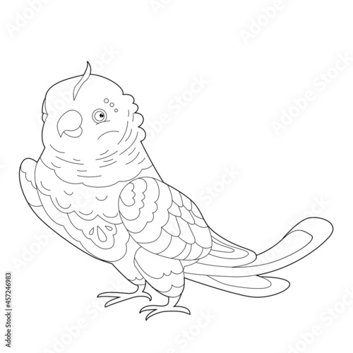 Contour linear illustration for coloring book with decorative parrot. Beautiful predatory  bird   anti stress picture. Line art design for adult or kids  in zen-tangle style  tatoo and coloring page.