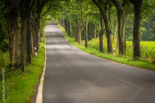 Alle Straße auf Insel Rügen im Sommer