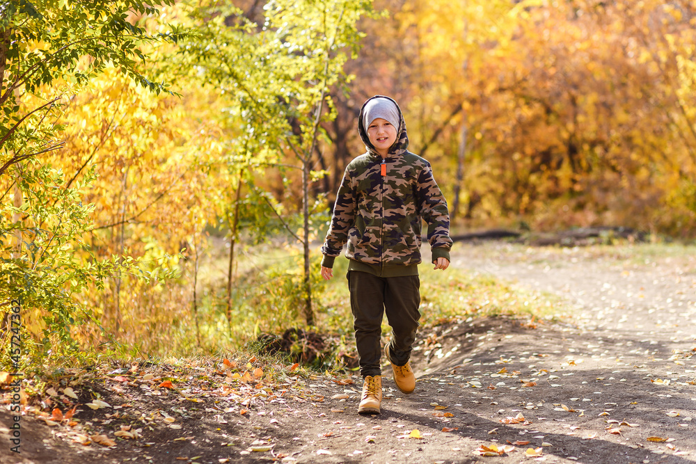 a nine-year-old boy walks in beautiful autumn park. leaf fall in October a nine-year-old boy walks in beautiful autumn park. leaf fall in October