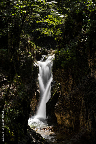 Waterfall in the wood