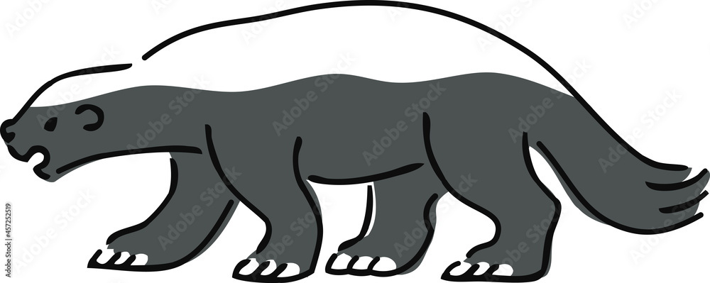 Obraz premium 手描き風のラーテルのイラスト