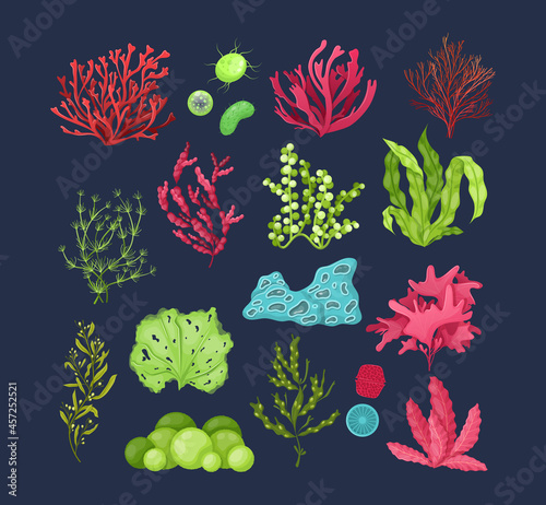 Underwater marine flora set. Marine aquarium flora, aqua plants, coral reef underwater seaweed ocean plants phytoplankton, algae, laminaria, undersea fauna sea moss tropical sea plant