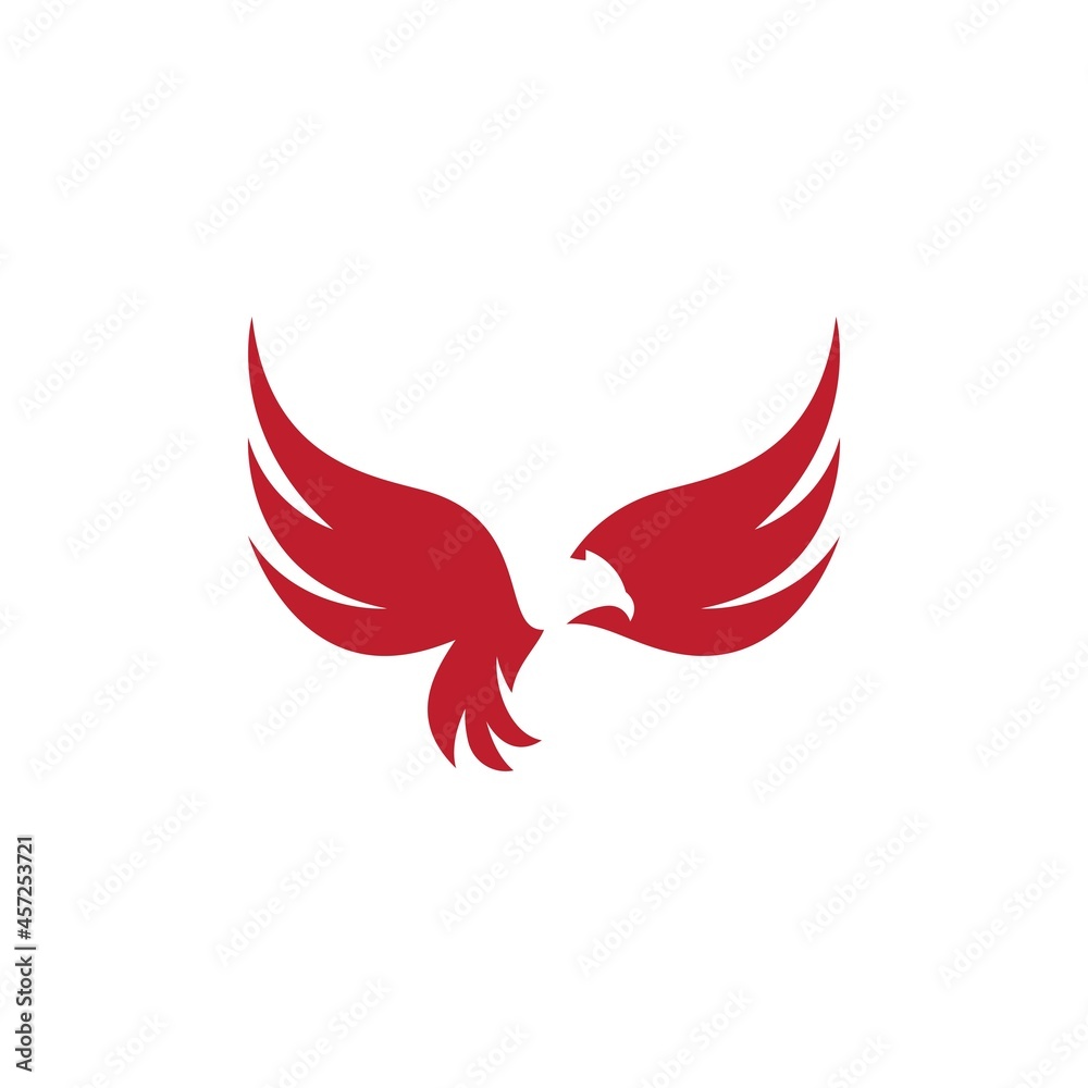 Obraz premium Falcon Eagle Bird