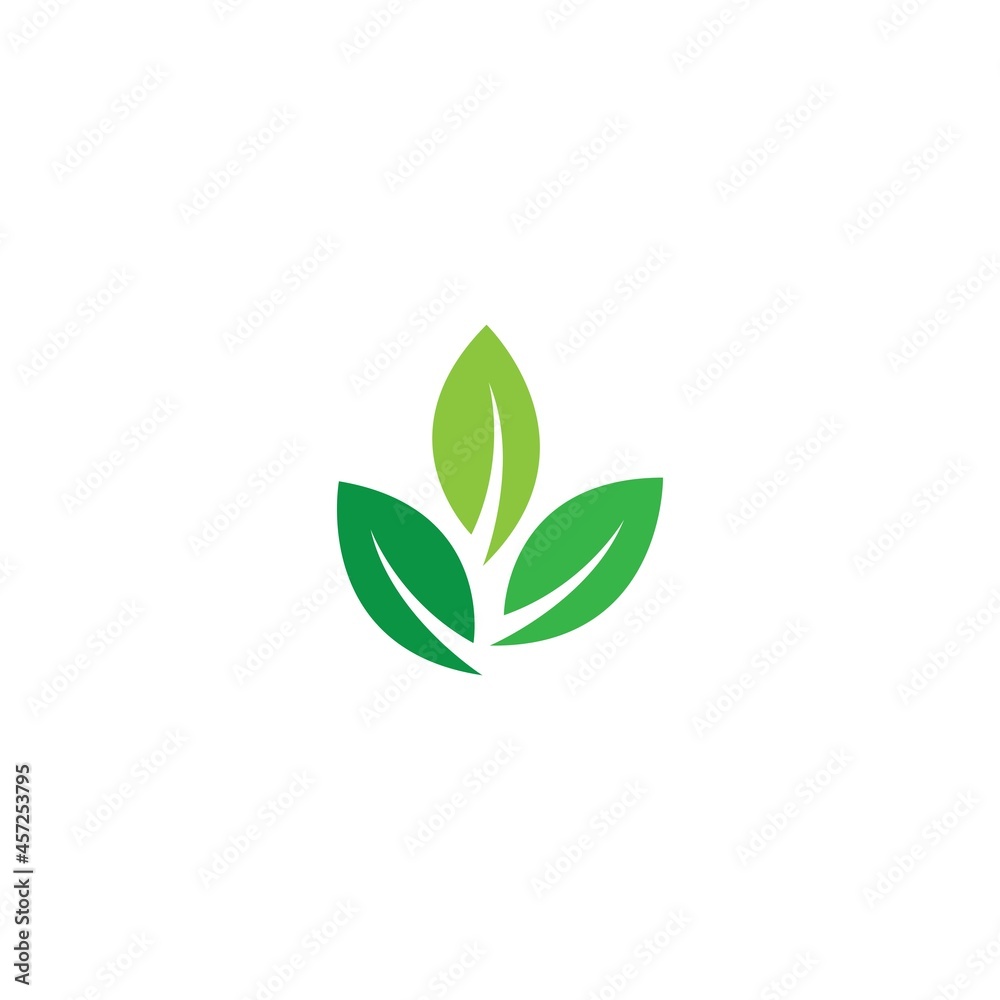 green leaf illustration green leaf illustration