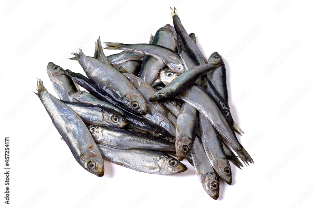 Black sea sprat isolated on a white background. Black sea sprat isolated on a white background.