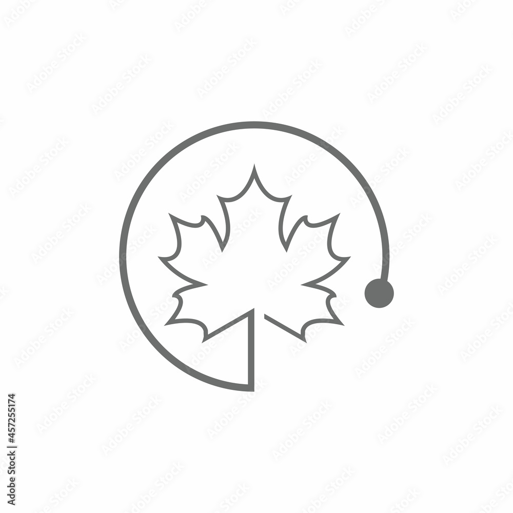 Maple leaf vector illustration design template Maple leaf vector illustration design template