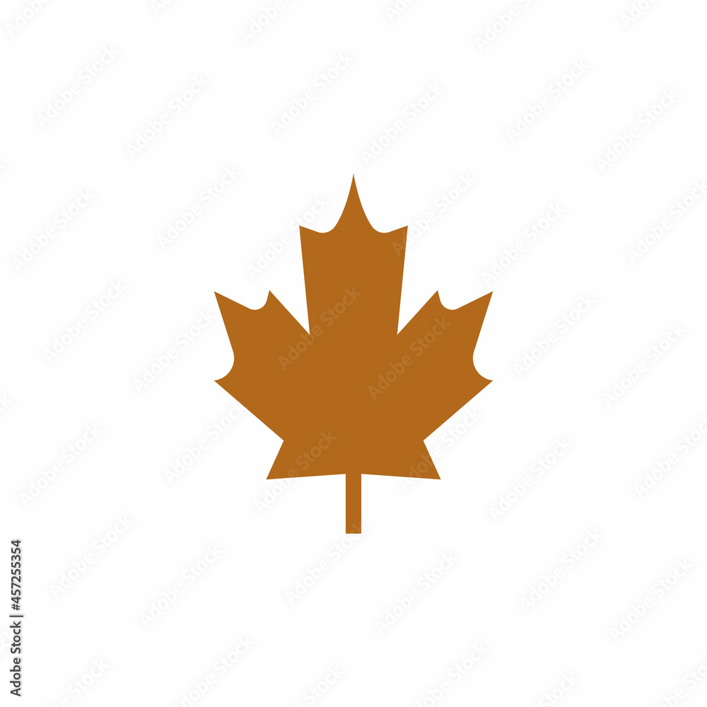 Fototapeta premium Maple leaf vector illustration design template