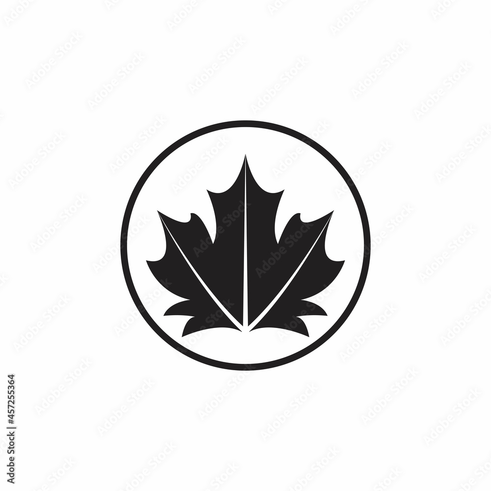 Maple leaf vector illustration design template Maple leaf vector illustration design template