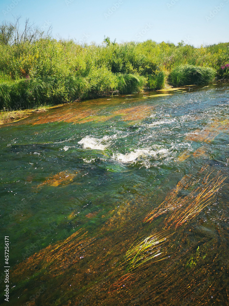 Naklejka premium river in the forest