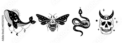 Mystical halloween bundle - celestial snake, skull, whale and bee, moon and stars isolated cliparts, space esoteric stuff, serpent, skeleton, insect black and white outline vector illustration