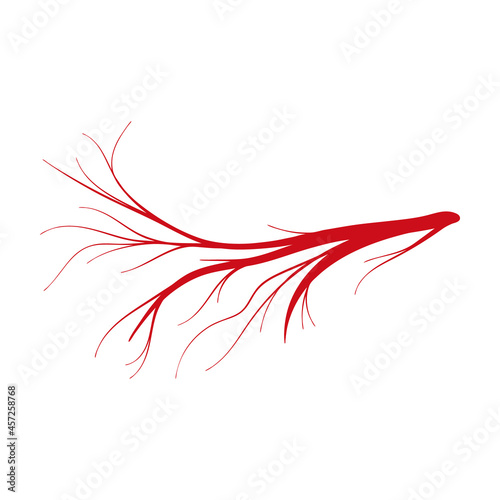 Vein of human vector cartoon icon. Vector illustration artery of blood on white background. Isolated cartoon illustration icon of vein of human .