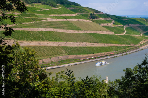 River Rhine and vineyards.  Rheingau wine region on the Rhine hills near the Ehrenfels castle ruins  Germany. Cruise ship and train on the railway along the river.