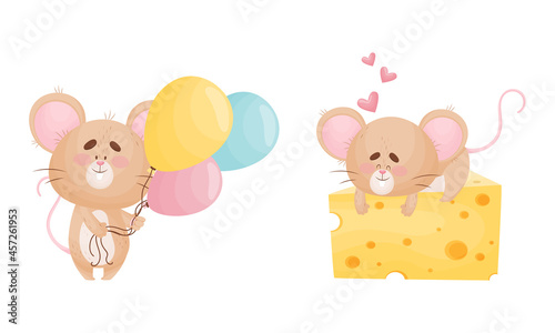 Cute Mouse Character as Small Rodent with Balloon Bunch and Lying on Cheese Slab Vector Set