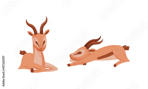 Sitting African Gazelle as Fawn-colored Antelope Species with Curved Horn Vector Set